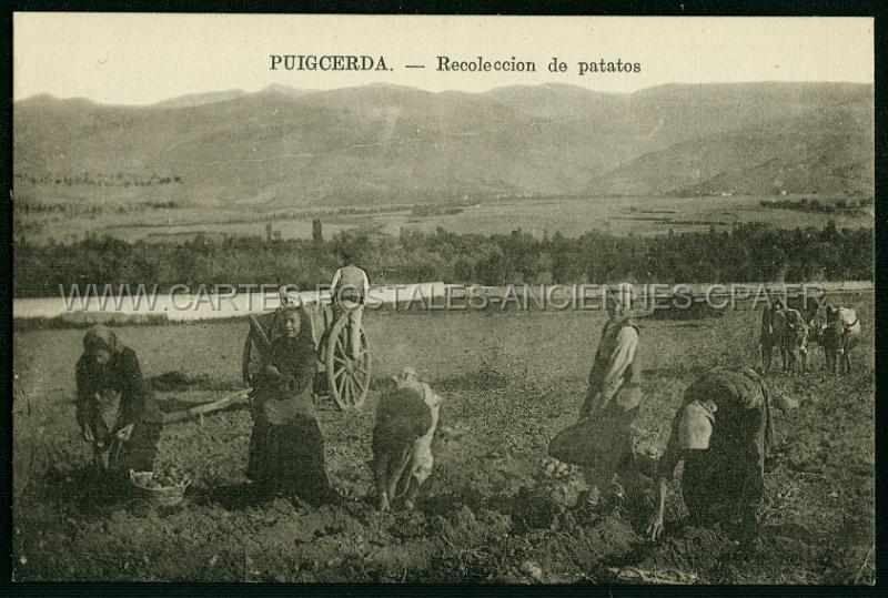 Cartes postales anciennes 12884.jpg